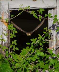 Lee más sobre el artículo A través de la ventana